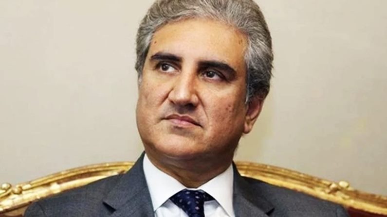 Pakistan will oppose any move by India to 'Divide Kashmir' and change its demography - Shah Mahmood Qureshi