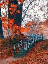 Autumn In Kashmir; Season to walk over the Chinar Leaves