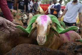 Eid-Ul-Adha 2022: Admin notifies rates for sacrificial animals in Kashmir