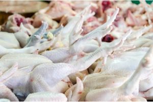 Ten quintals of imported chicken seized in Kashmir for violating food safety norms