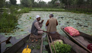 Jammu and Kashmir's Land Scheme Raises Fears of Demographic Change