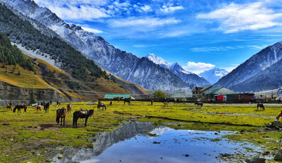 Discover Kashmir Year-Round: Embracing the Valley's Evolving Tourist Landscape