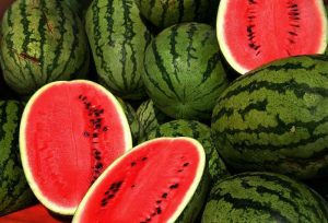 Kashmir Gears Up for Ramazan: Early Arrival of Watermelons Raises Concerns Over Ripeness