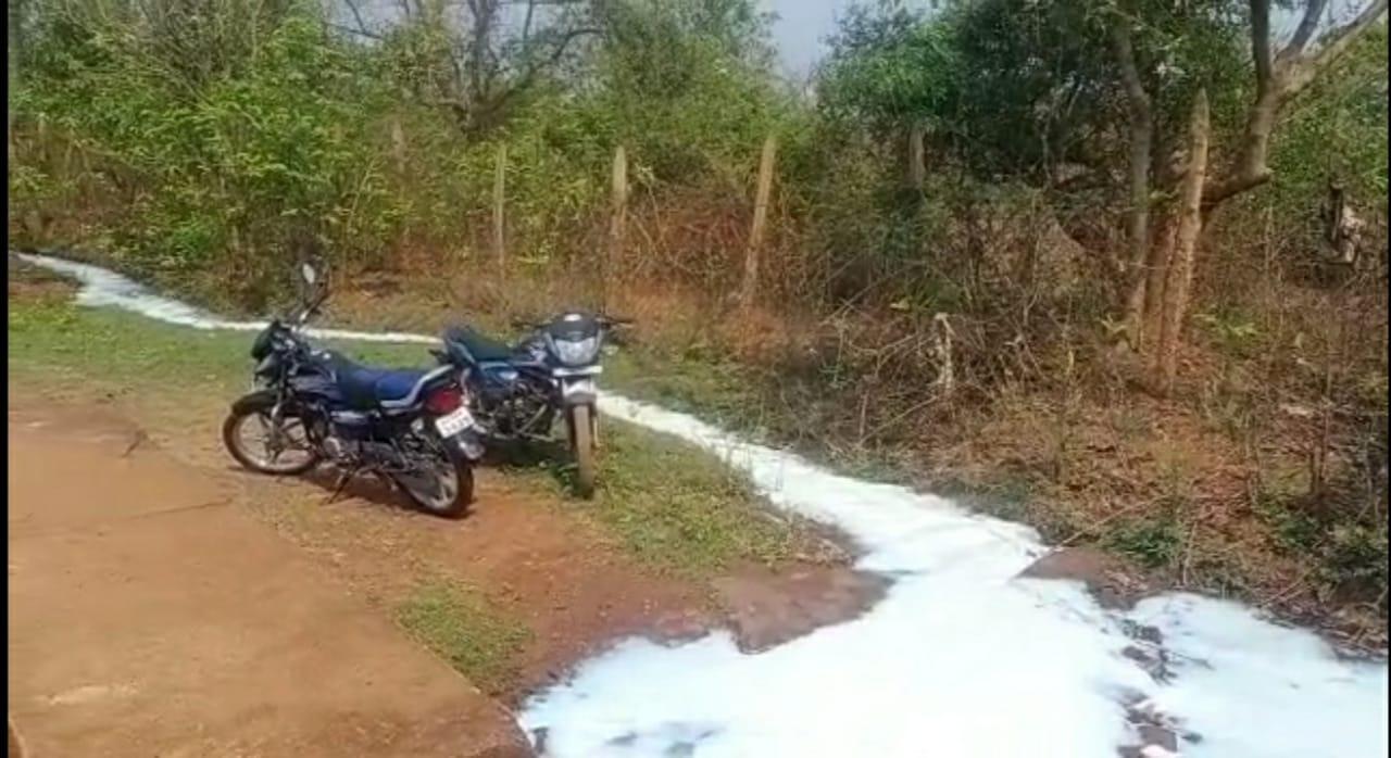 Lockdown dries up dairy demand, farmers forced to pour milk down the drains
