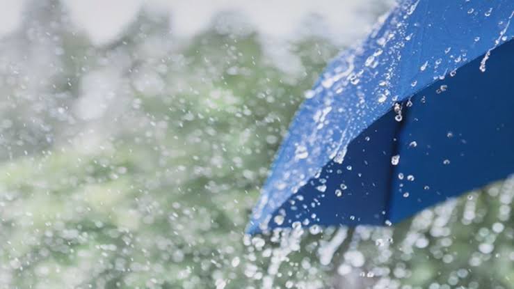 Light to moderate rain for the next few days in J&K - MeT