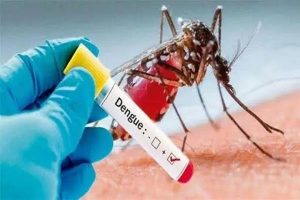 Efforts to check spread of dengue scaled up across Jammu Region