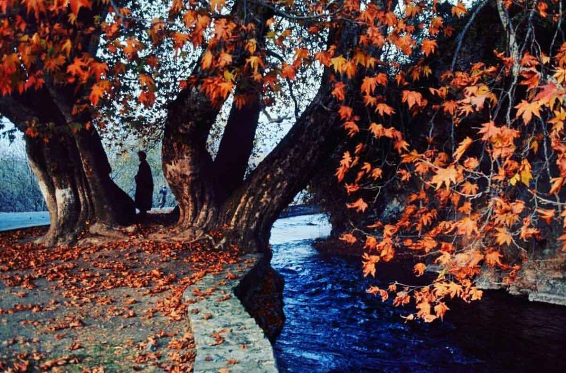 Srinagar's Mughal Garden becomes major tourist attraction in Autumn season