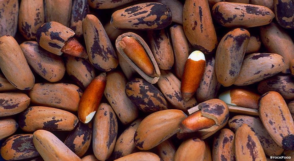 Amazing health benefits of Pine Nuts (Chilgoza)