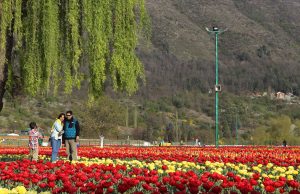 For attracting tourists J&K admin gears up for spring season
