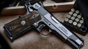 Arms Licence Row: 16 Properties of bureaucrats attached in J&K