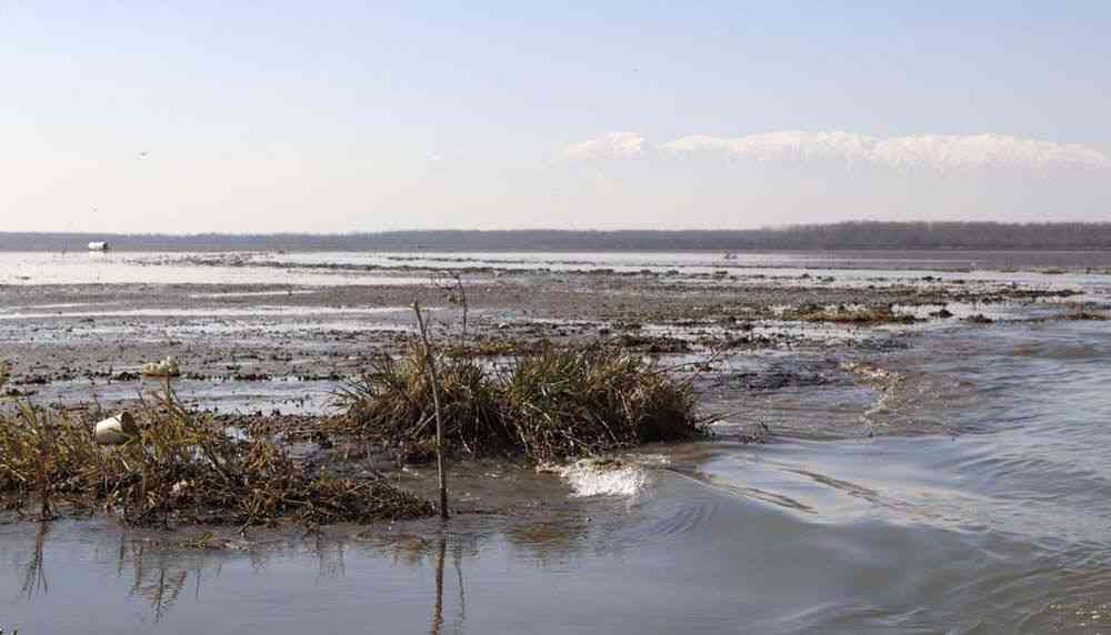 Wular Lake: Asia’s largest freshwater lakes is blanketed with waste and silt