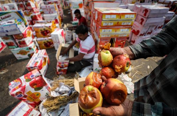 SSP Highway Traffic Shabir Ahmad Malik transferred amid uproar over stuck apple-laden trucks on Srinagar-Jammu highway