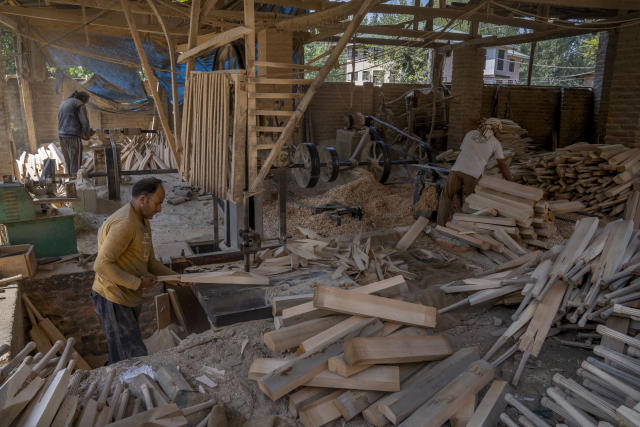 Fewer willows worry famed Kashmir’s Cricket bat industry