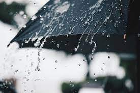 Rains, Snow, and Colder days in the first week of November: MeT