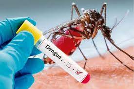 Dengue cases on the rise in Jammu, 900 cases reported in last seven days, tally reaches 5908