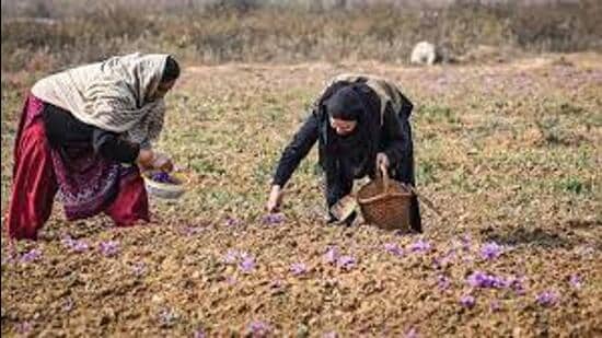 Trader bodies flag concerns over new land grant rules