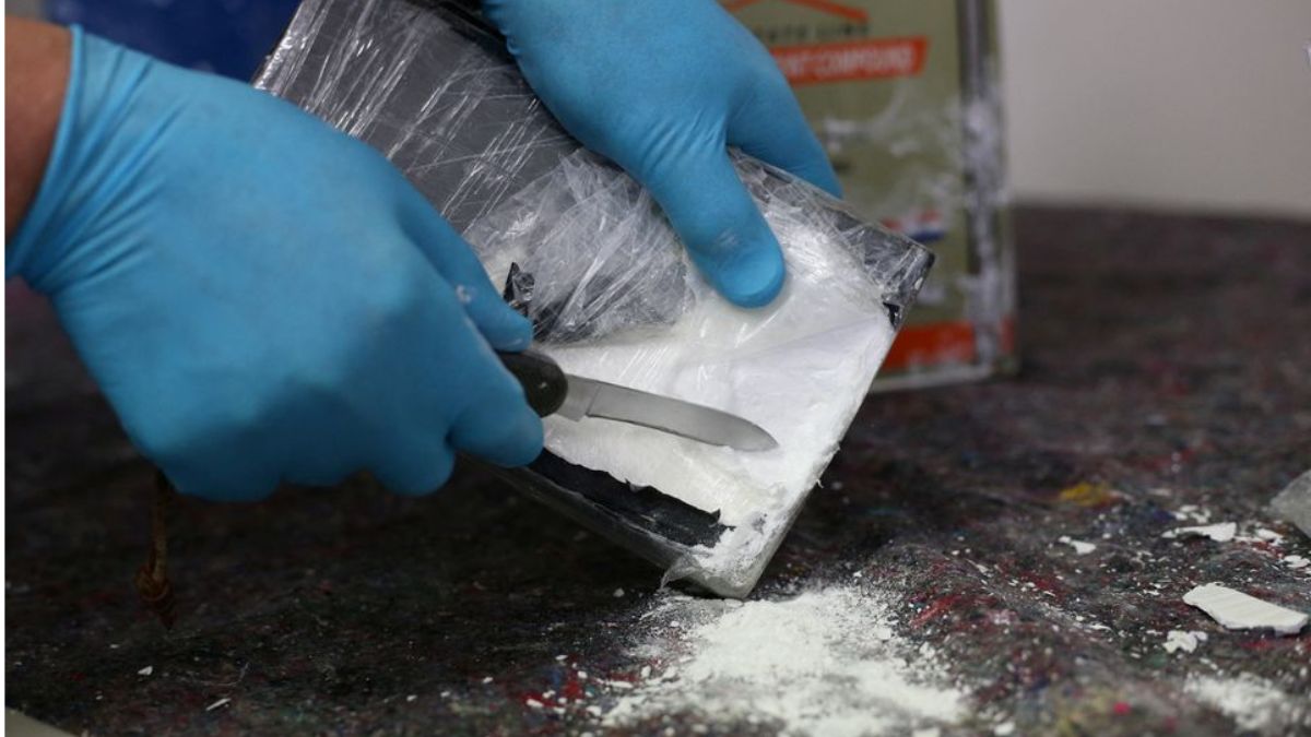 Udta Kashmir: Policemen, Political Activist, Contractor, Shopkeeper among 17 held for drug smuggling