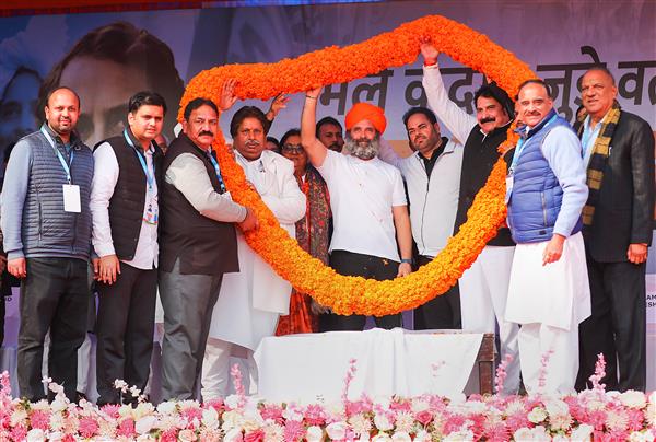 Kashmiri Pandits facing injustice, LG should apologise to them for his comments: Rahul Gandhi