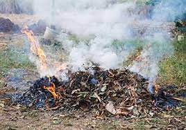 Srinagar’s air quality deteriorated in last three years: Pollution Control Board