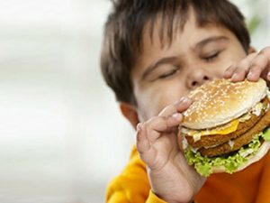 Sedentary lifestyle, Junk food pushing more children towards obesity in Kashmir: DAK
