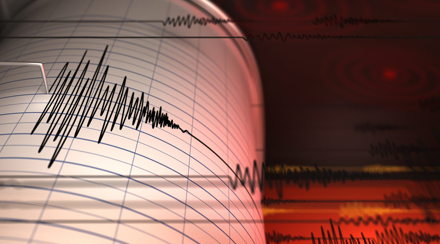 Strong Earthquake hits Afganistan, tremors felt across north India; Dos and Don’ts for staying safe during an Earthquake