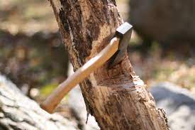 Army in Bandipora claims AFSPA protection for cutting trees on rented property