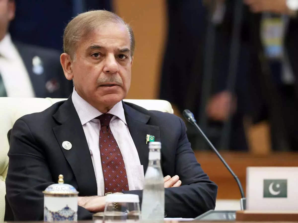 Shehbaz Sharif Renews His Message to India: 'Our Neighbour Has to Understand'