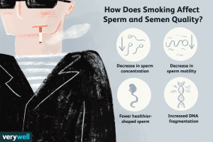Smoking and Drinking Can Harm Male Fertility: Tips to Improve Sperm Quality