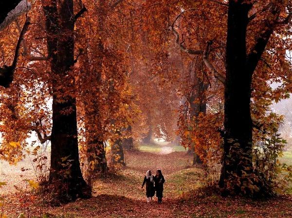 Exploring Autumn in Thomas Moore’s ‘Lalla Rookh’ – A Journey Through Poetry