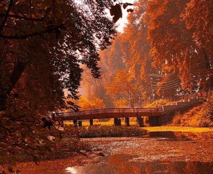 Unlocking the Charms of Autumn in Kashmir: A Season of Spectacular Beauty