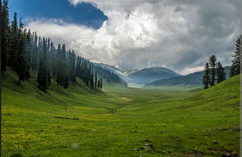 Untamed Beauty Revealed: Lolab Valley Crowned India’s Best Offbeat Destination