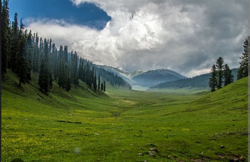 Untamed Beauty Revealed: Lolab Valley Crowned India’s Best Offbeat Destination
