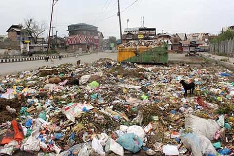 Misused and Misplaced: The Wanton Waste in Kashmiri Kitchens
