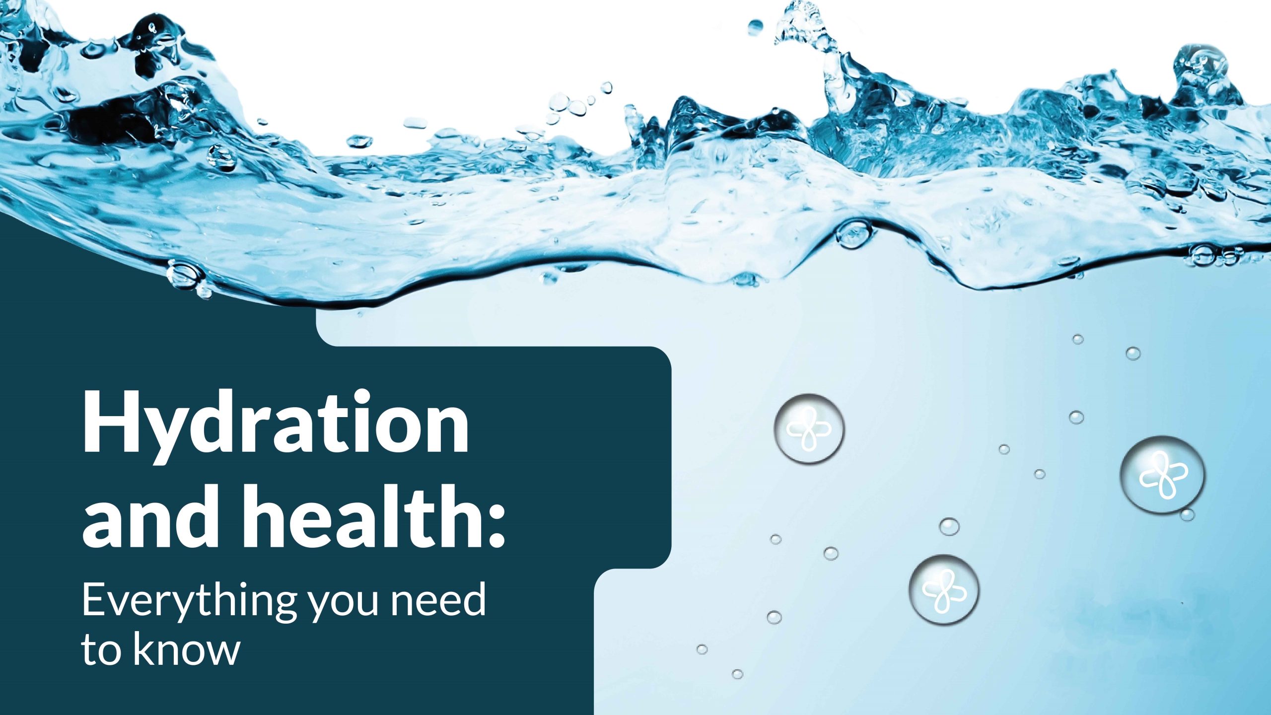 The Symphony of Hydration - How Water Orchestrates Optimal Digestion