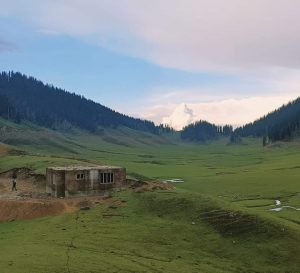 Concrete Concerns: Development Threatens Kashmir's Untouched Bangus Valley