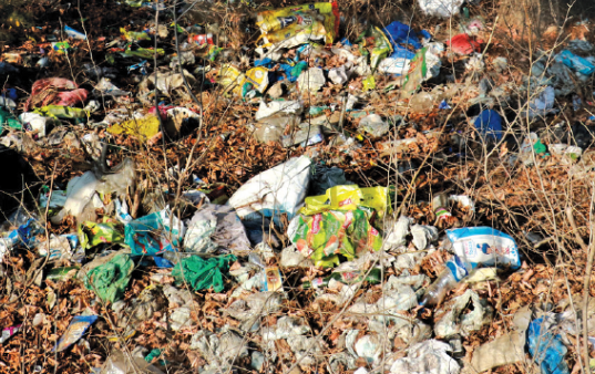 Plastic Vs Paradise: Rethinking Kashmiri Weddings for a Greener Future