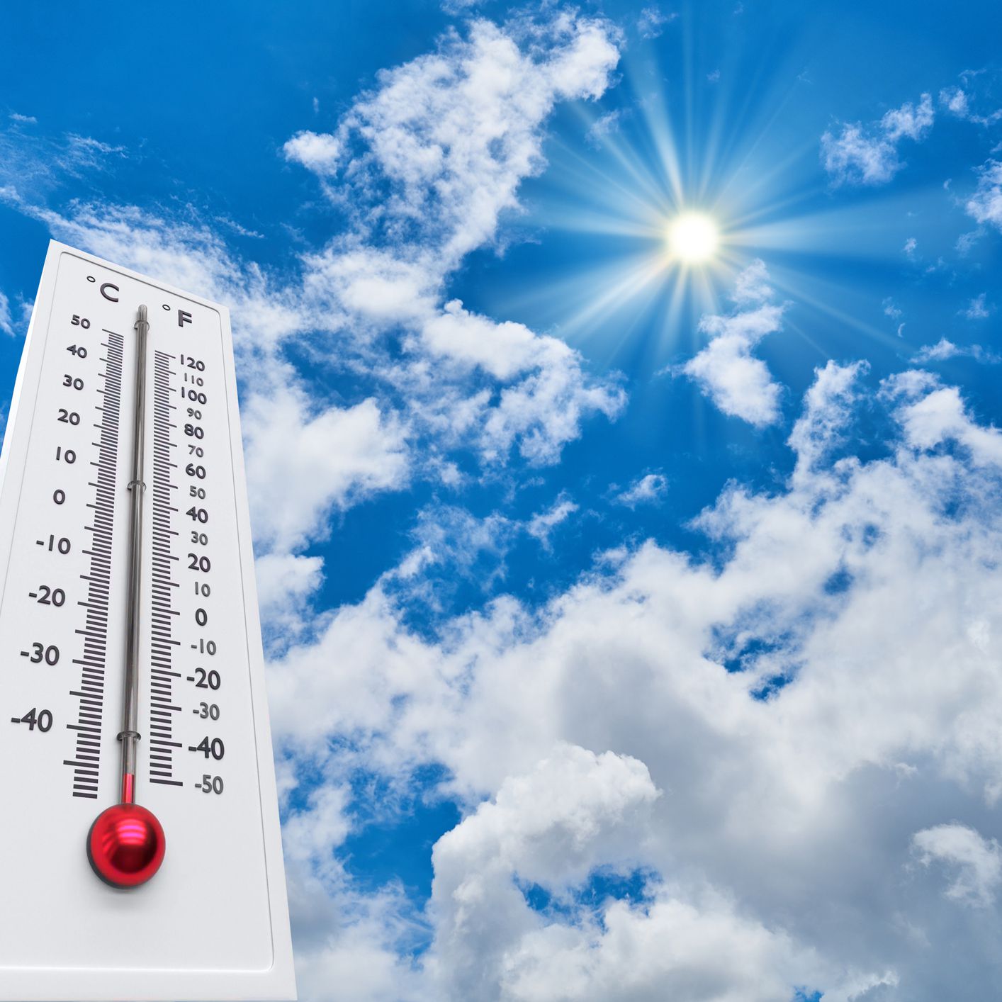 Climate Change Bites: Kashmir Under Heatwave Siege