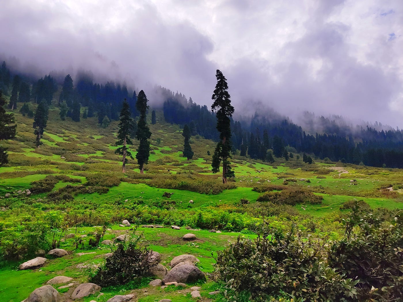 Discover the Unspoiled Beauty of Doodpathri: A Nature Lover’s Paradise
