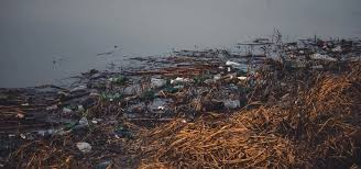 Valley’s Pristine Lake Contaminated with Microplastics and Metals