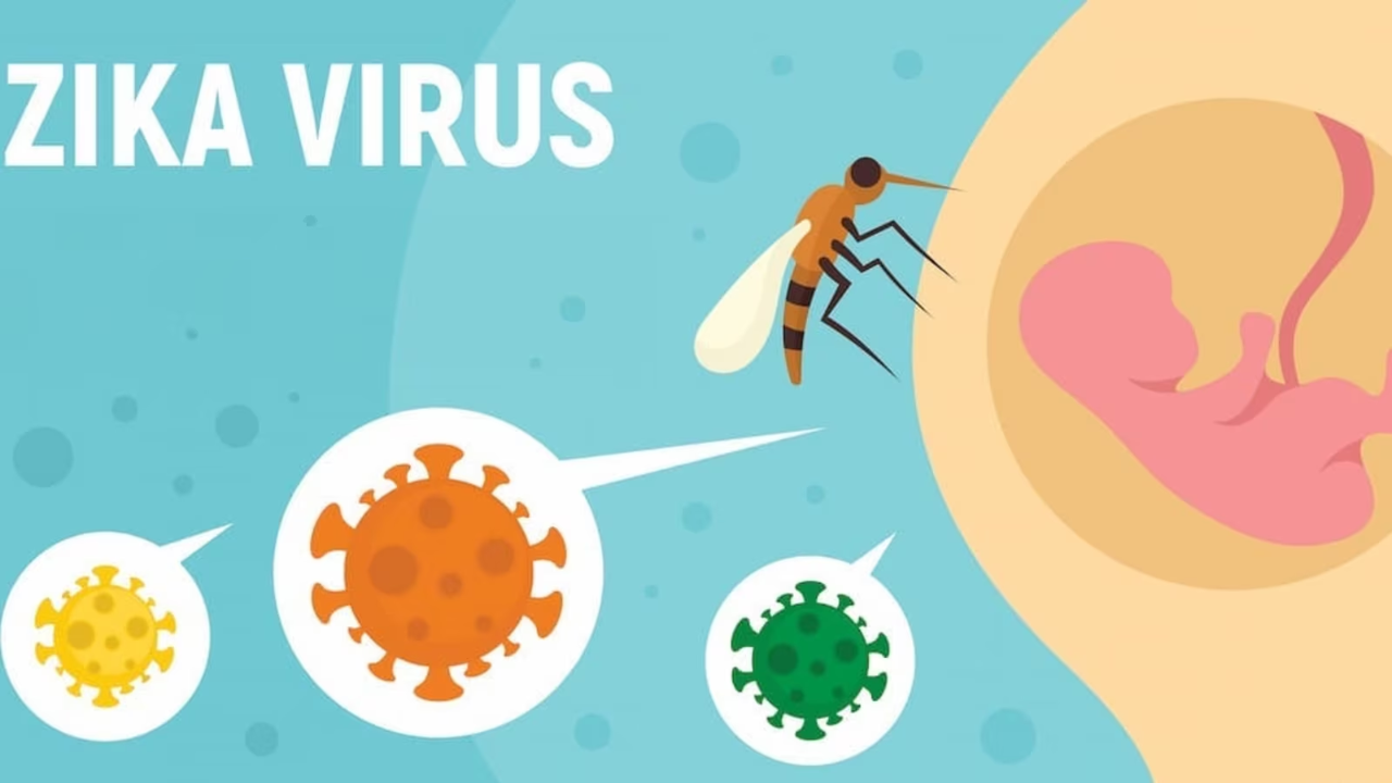 Zika Virus Alert in Maharashtra: Health Ministry Issues Guidelines for Pregnant Women
