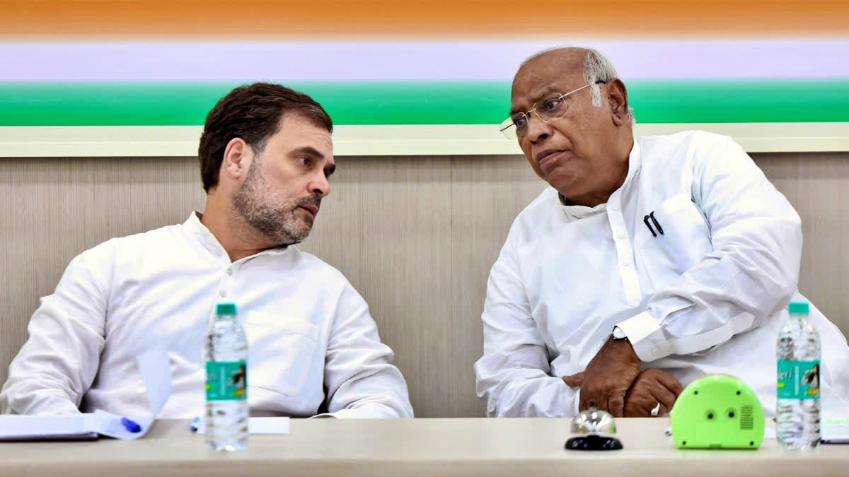 PDP Open to Talks: Rahul Gandhi’s Role in J&K Coalition Building