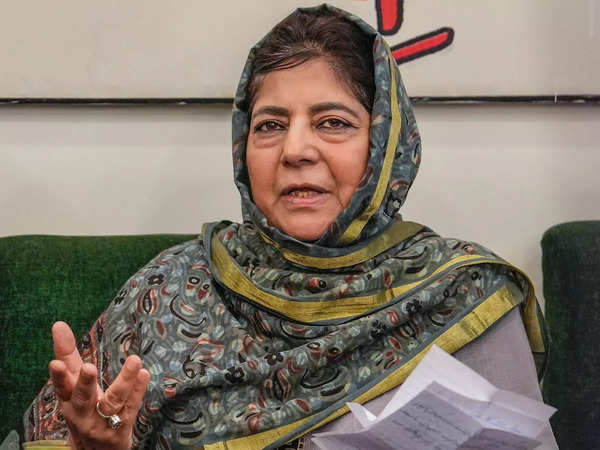 BJP Wants to Silence Kashmir’s Legacy: Mehbooba Mufti on Article 370 and Poll Strategy