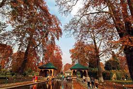 Harud in Kashmir: Celebrating the Bounty and Beauty of Autumn