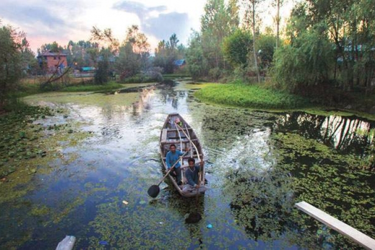Dal Lake Pollution Woes: Sewage Plants Threaten Kashmir’s Iconic Waterbody