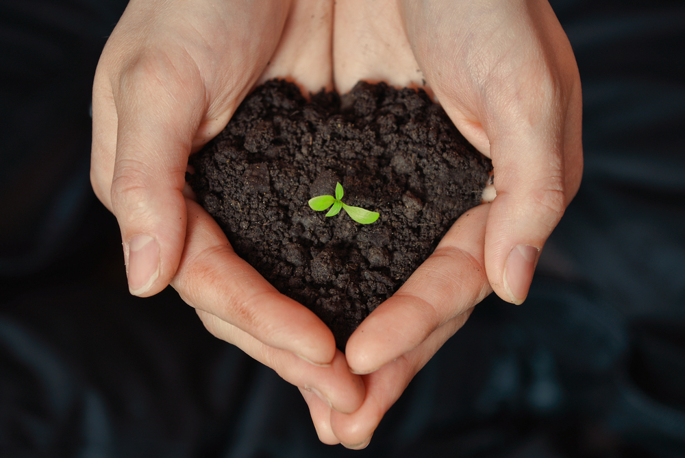 Sow Goodness, Reap Blessings: The Power of Cause and Effect