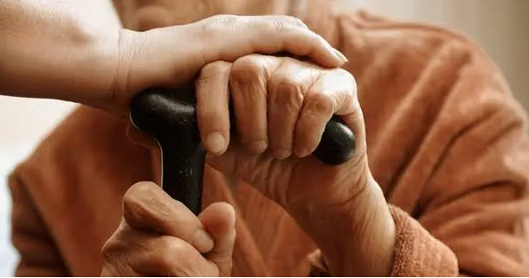 Cultural Values in Crisis: How to Restore Respect for Elders in Kashmiri Society