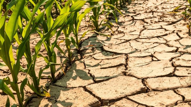 Persistent Drought in J&K: Fifth Consecutive Year of Below-Normal Rainfall