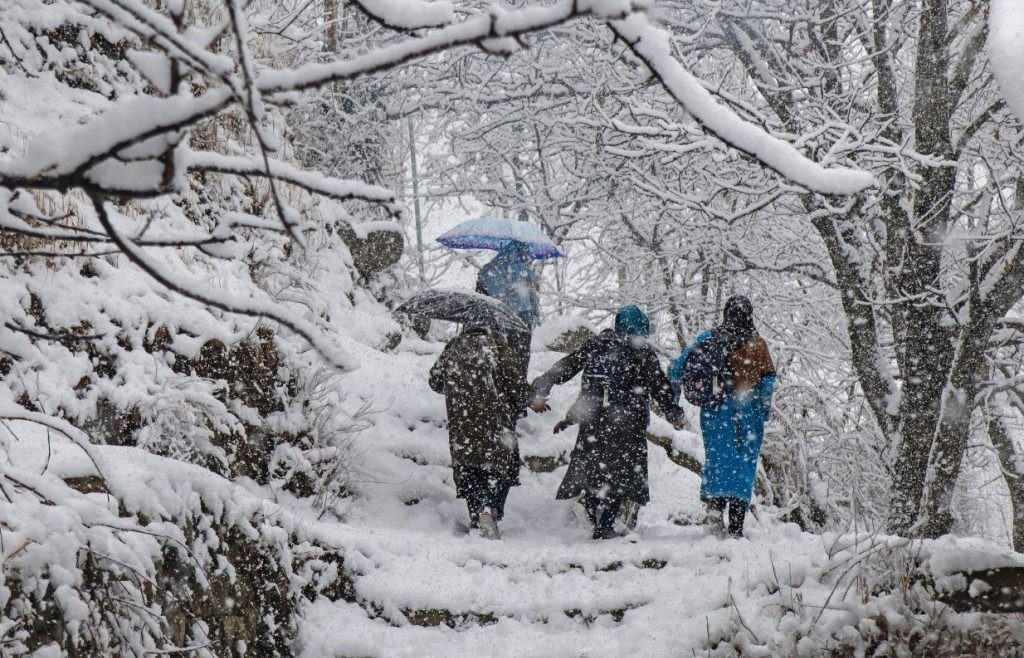 Snow Alert: Kashmir Set for Three Days of Fresh Snowfall