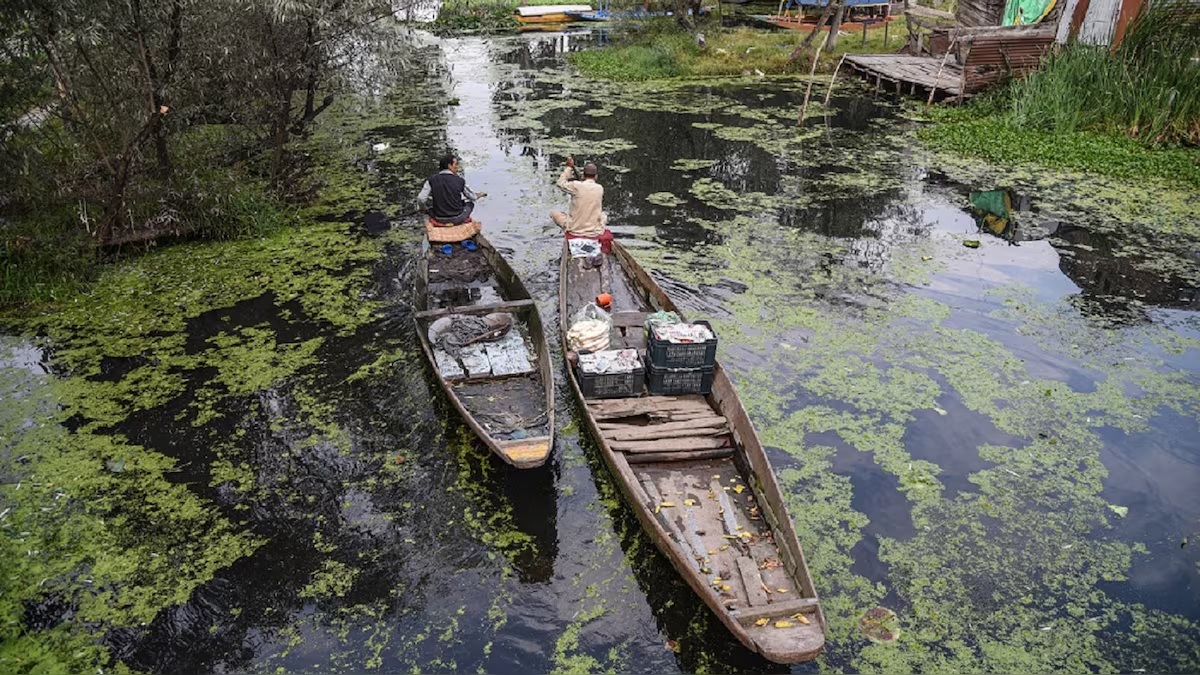 Kashmir’s Silent Crisis: Vanishing Snows, Parched Farms, and the Looming Threat to Water Security