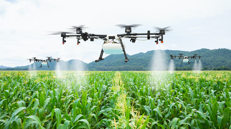 Modern Farming Techniques in J&K: Revitalizing Horticulture to Save Agricultural Land